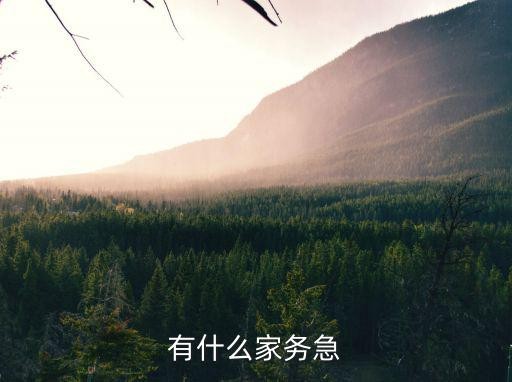 有什么家务急
