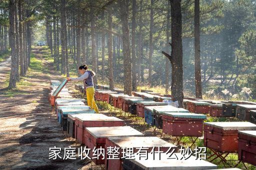 家庭收纳整理有什么妙招