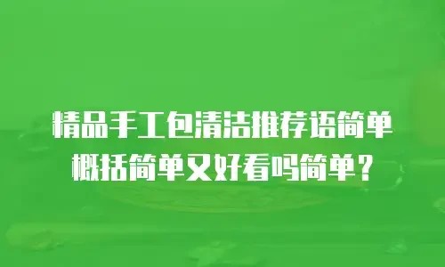 精品手工包清洁推荐语简单概括简单又好看吗简单？