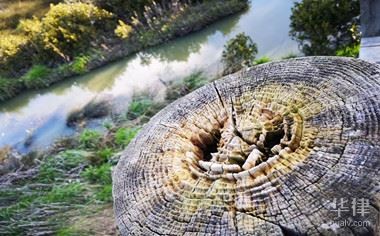 家里全是噪音怎么投诉