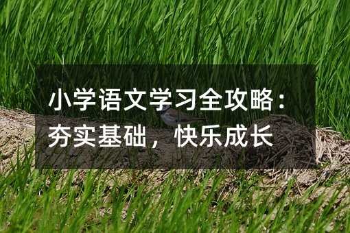 小学语文学习全攻略:夯实基础,快乐成长