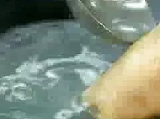 家常菜集锦08东坡肘子 肉片烧海参 烤大虾 奶油吉利丸子
