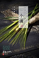 小满二十四节气海报