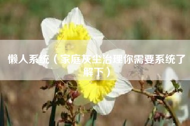 懒人系统（家庭灰尘治理你需要系统了解下）