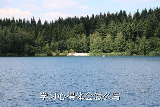 学习心得体会怎么写