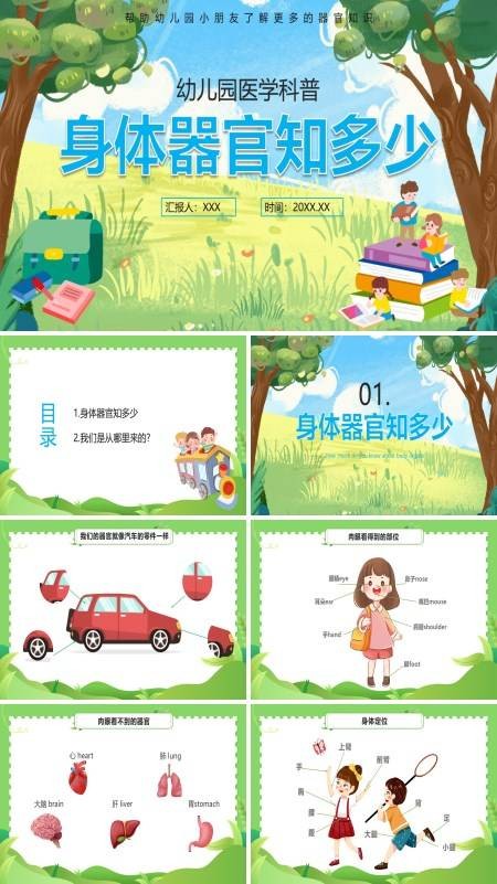 幼儿园医学科普身体器官知多少PPT课件