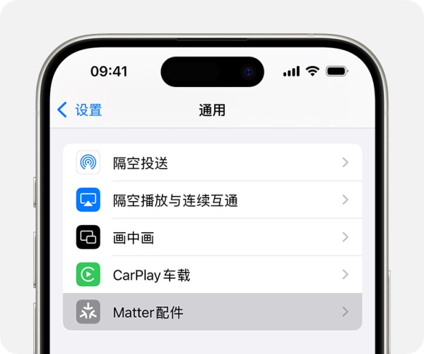 iPhone 上“设置”>“通用”下的“Matter 配件”