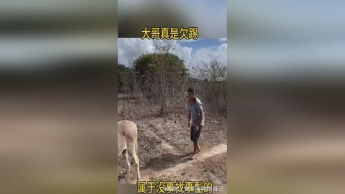 大哥真是欠踢，属于没事找事型的