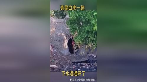 真是白来一趟，下水道通开了