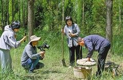 以工代赈让库布其披绿杭锦旗生金 