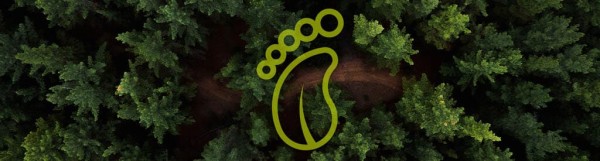 纯素饮食如何帮助应对气候变化并减少你的碳足迹 2025年8月