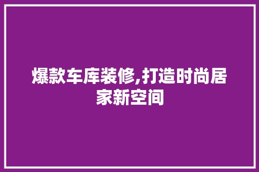 爆款车库装修,打造时尚居家新空间 现代风格装饰