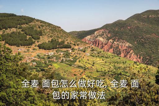  全麦 面包怎么做好吃, 全麦 面包的家常做法