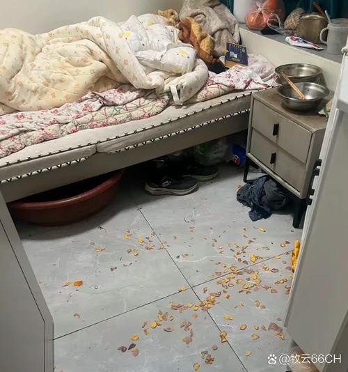 家裡灰塵多
