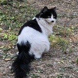 Midori_77
