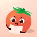 番茄记忆卡学习APP