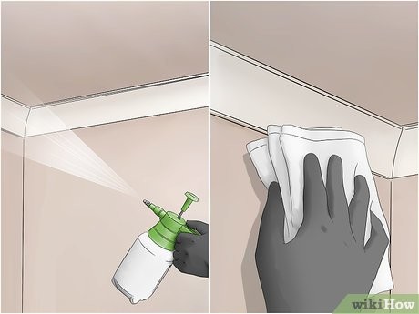 Step 6 在屋里喷洒消毒液。