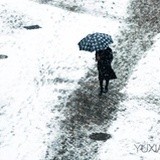 夏尚