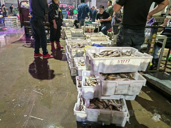 卖海鲜一年能赚20万吗?一般卖海鲜的人利润是多少钱