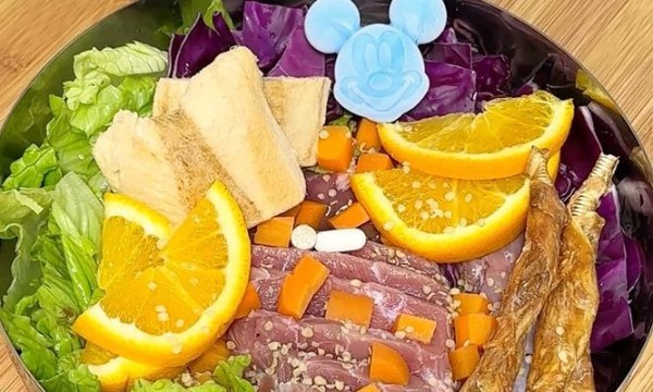 成年边牧的饮食搭配秘诀（科学膳食让你的边牧健康成长）