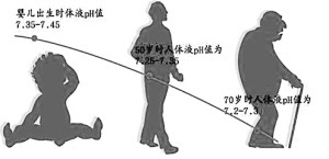 健康体质：提倡酸碱食物均衡搭配