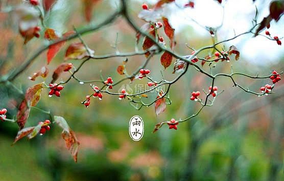 生活小常识：雨水节气养生注意事项