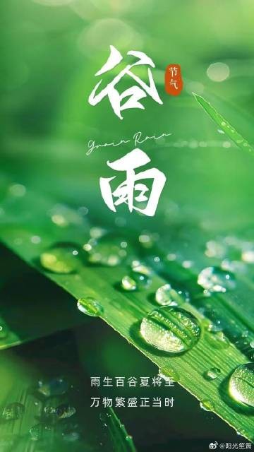 谷雨节气的养生知识---阳光笙箫支剑笙博客