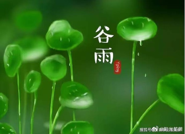 谷雨节气的养生知识---阳光笙箫支剑笙博客
