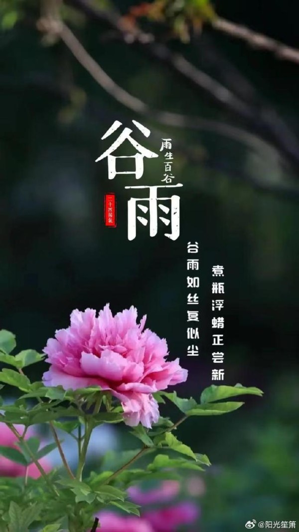 谷雨节气的养生知识---阳光笙箫支剑笙博客