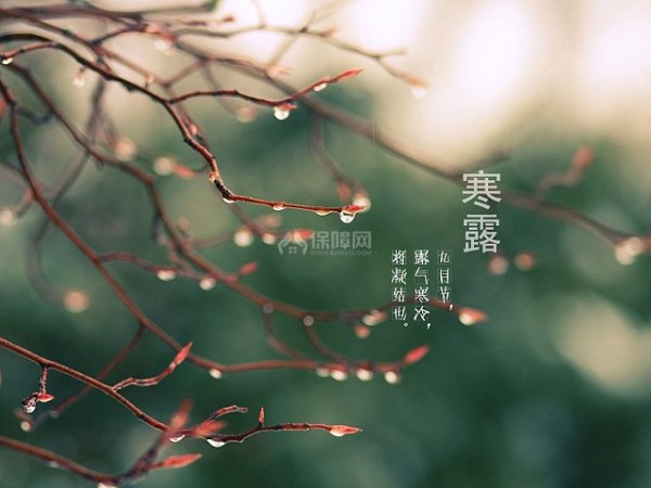 寒露节气养生