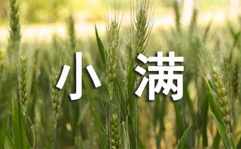 小满养生小常识