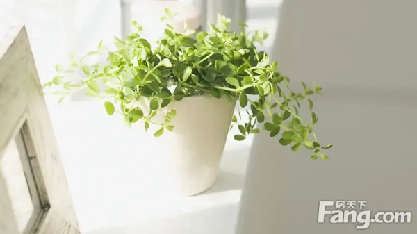 摆放风水