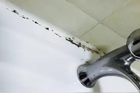 玻璃胶发霉别用酒精擦?老保洁教你正确做法,干净卫生不留痕迹图片