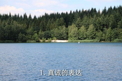 1. 真诚的表达