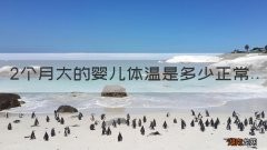 2个月大的婴儿体温是多少正常