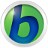 Babylon Pro(翻译软件) v11.0.0.29
