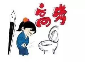 狗喝牛奶后拉肚子:紧急应对指南