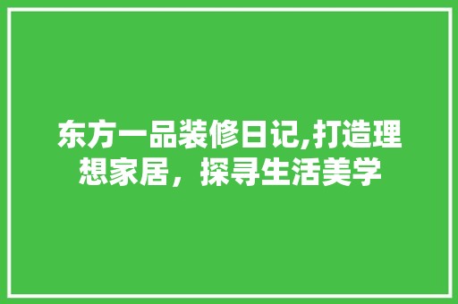 东方一品装修日记,打造理想家居，探寻生活美学 木雕艺术