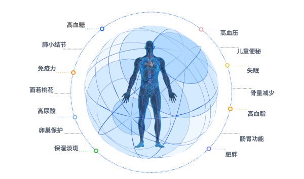健康定制高级专案