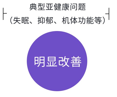 典型亚健康问题