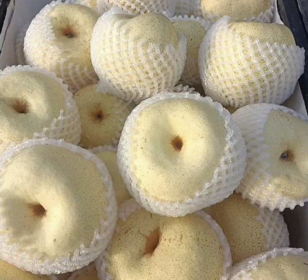 白梨与热量标签对比图