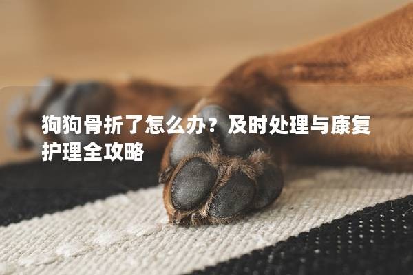 狗狗骨折了怎么办？及时处理与康复护理全攻略