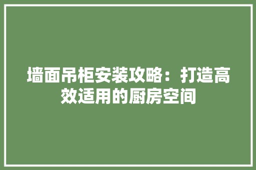 墙面吊柜安装攻略：打造高效适用的厨房空间 现代风格装饰