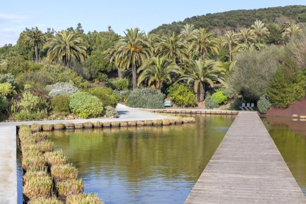 Jardín Botánico de Barcelona colección de plantas
