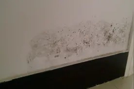 墙壁发霉变黑怎么处理?分四个步骤,轻松解决图片