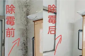 墙上的霉斑怎么去除? 分享一个除霉小妙招,彻底消灭霉斑视频封面