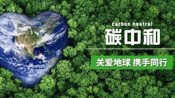 当碳中和成为新潮流，你的生活正在悄悄 “变绿”
