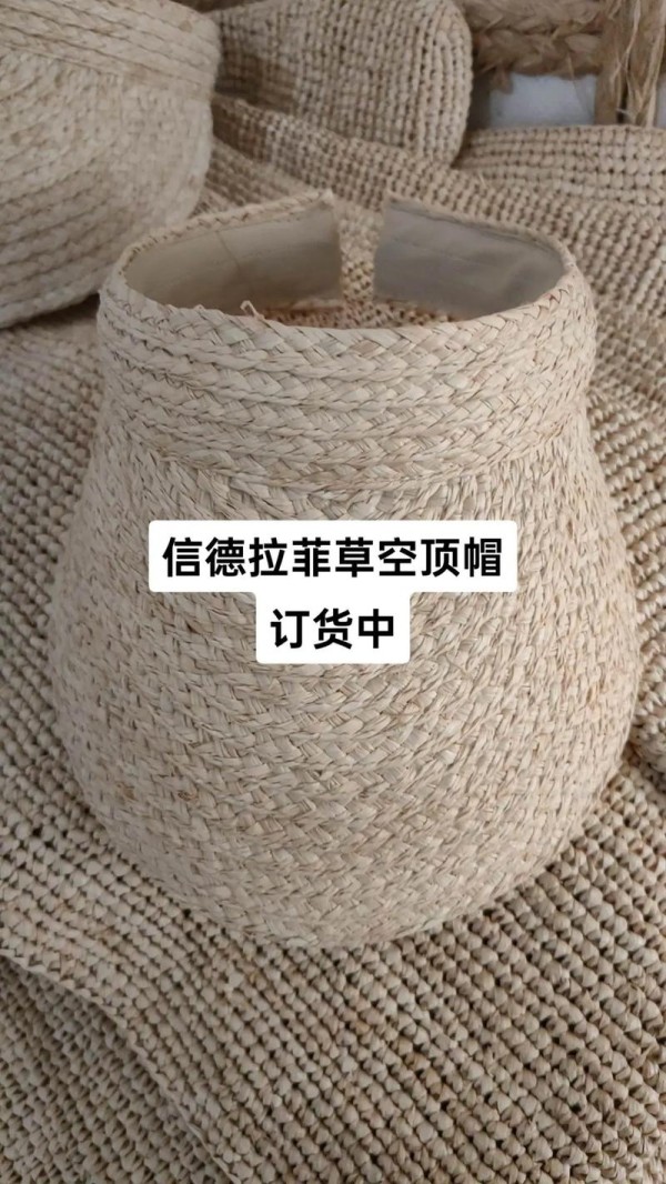 拉菲草装饰画图片
