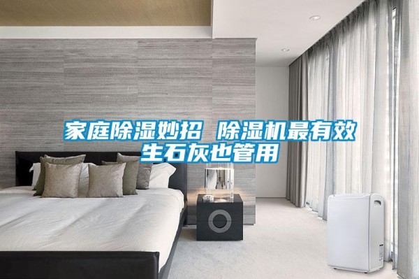 家庭除湿妙招 除湿机最有效生石灰也管用