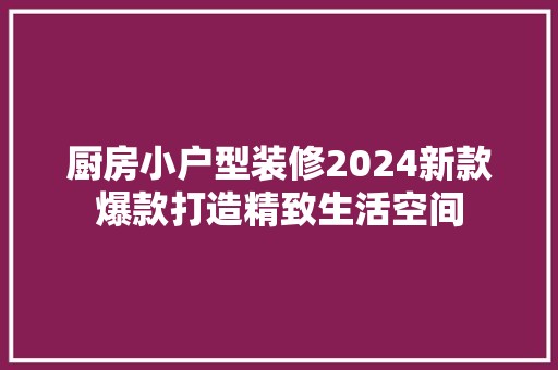 厨房小户型装修2024新款爆款打造精致生活空间 客厅